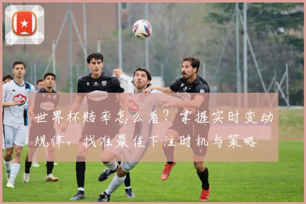 世界杯赔率怎么看？掌握实时变动规律，找准最佳下注时机与策略